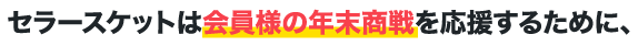 300万円から